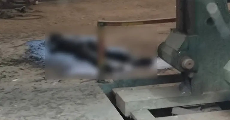 উদ্ধারকৃত গলিত মরদেহ
